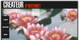 Voir le site internet